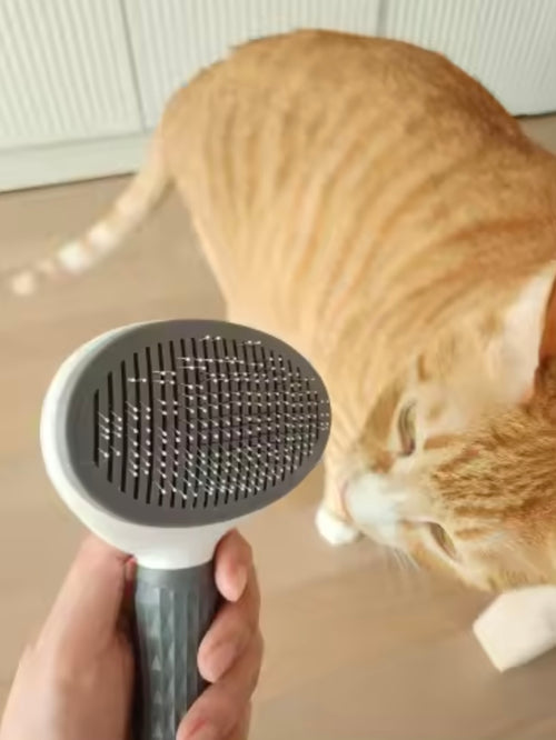 cepillo quita-pelos perros y gatos 🐶🐱